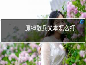 原神散兵文本怎么打