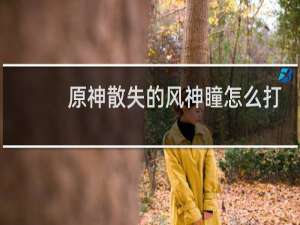 原神散失的风神瞳怎么打