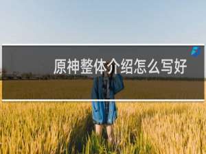 原神整体介绍怎么写好