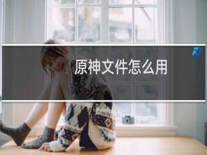 原神文件怎么用