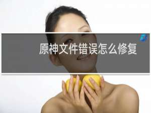 原神文件错误怎么修复