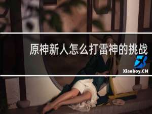 原神新人怎么打雷神的挑战