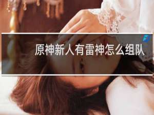 原神新人有雷神怎么组队