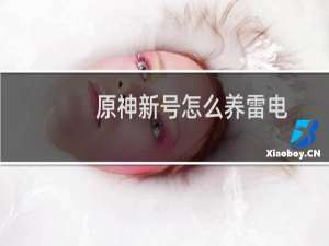 原神新号怎么养雷电