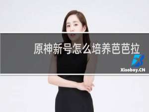 原神新号怎么培养芭芭拉
