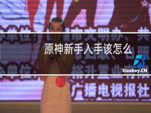 原神新手入手该怎么