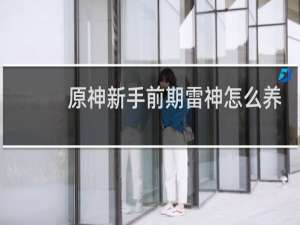 原神新手前期雷神怎么养