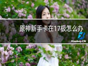 原神新手卡在17极怎么办