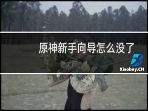原神新手向导怎么没了