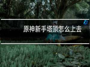 原神新手塔顶怎么上去