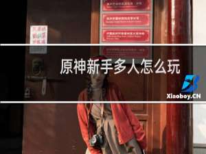 原神新手多人怎么玩