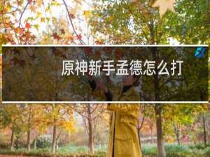 原神新手孟德怎么打