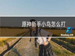 原神新手小鸟怎么打