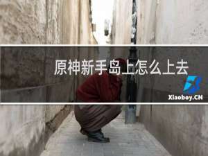 原神新手岛上怎么上去