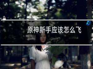原神新手应该怎么飞