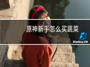 原神新手怎么买蔬菜