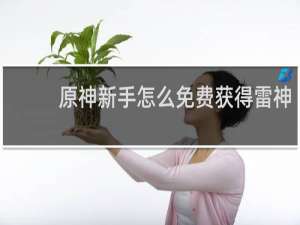 原神新手怎么免费获得雷神