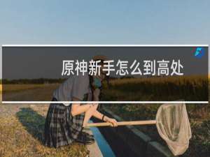 原神新手怎么到高处