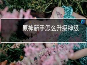 原神新手怎么升级神级