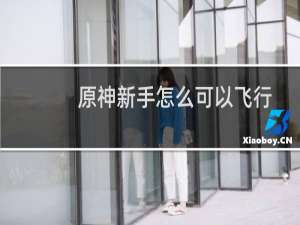 原神新手怎么可以飞行