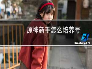 原神新手怎么培养号