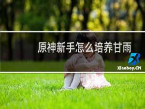 原神新手怎么培养甘雨