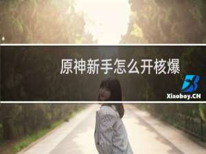 原神新手怎么开核爆