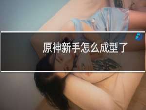 原神新手怎么成型了