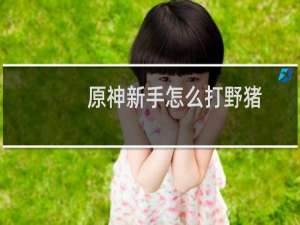 原神新手怎么打野猪