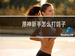 原神新手怎么打鸽子