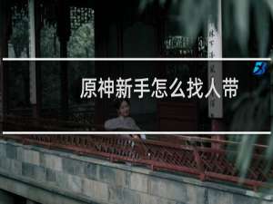 原神新手怎么找人带