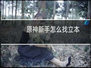 原神新手怎么找立本