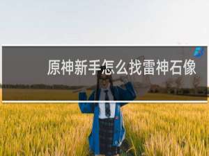 原神新手怎么找雷神石像