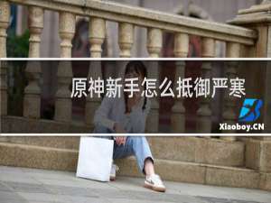 原神新手怎么抵御严寒
