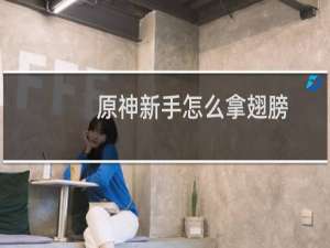 原神新手怎么拿翅膀