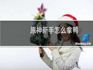 原神新手怎么拿鸭