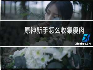 原神新手怎么收集瘦肉
