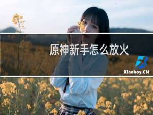原神新手怎么放火