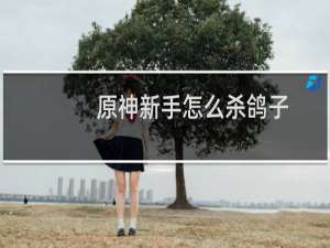原神新手怎么杀鸽子