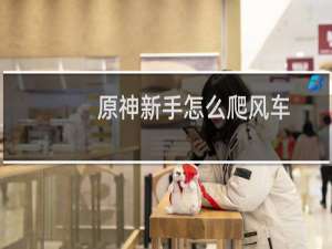 原神新手怎么爬风车