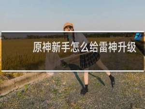 原神新手怎么给雷神升级