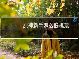 原神新手怎么联机玩