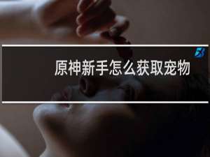 原神新手怎么获取宠物