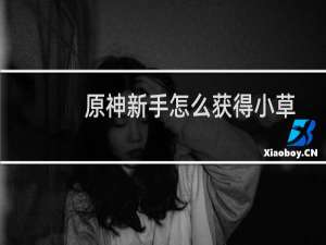 原神新手怎么获得小草