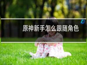 原神新手怎么跟随角色