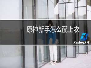 原神新手怎么配上衣