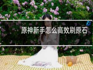 原神新手怎么高效刷原石