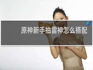 原神新手抽雷神怎么搭配