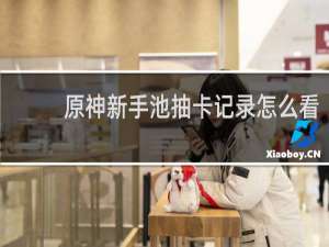 原神新手池抽卡记录怎么看