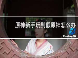 原神新手玩到假原神怎么办